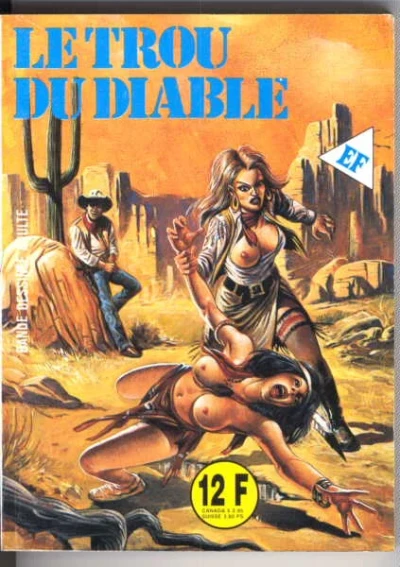 Cover of LE TROU DU DIABLE