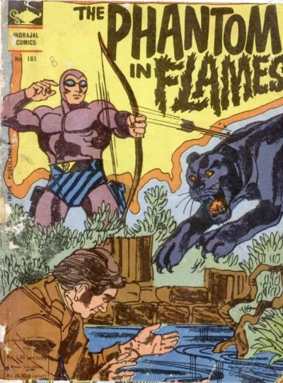 Cover of The Phantom In Flames