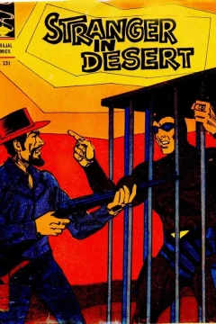 Stranger In Desert