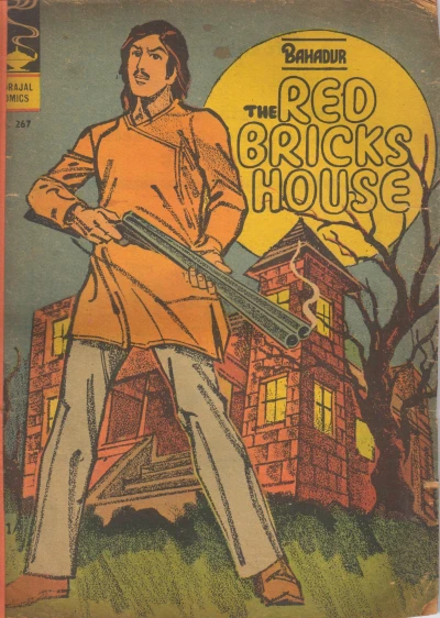Cover of The Red Bricks House