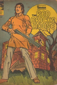 The Red Bricks House