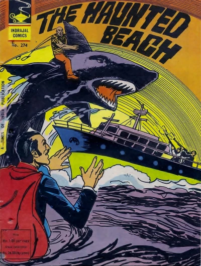 Cover of The Haunted Beach