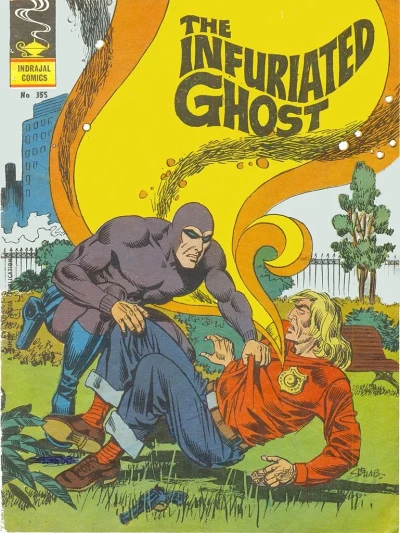 Cover of The Infuriated Ghost