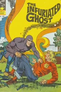 The Infuriated Ghost