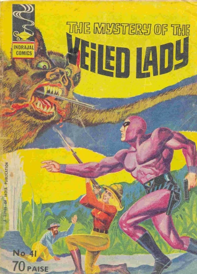 Cover of The Mystery Of The Veiled Lady