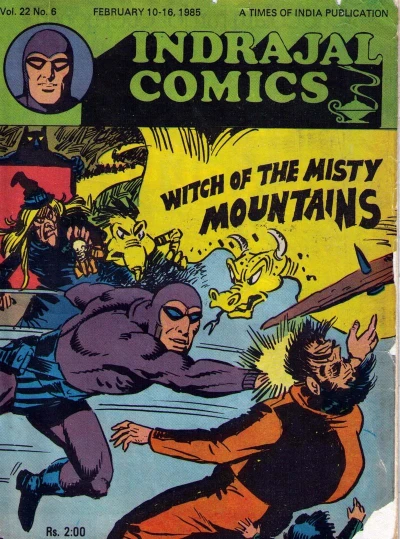 Cover of Witch Of The Misty Mountains