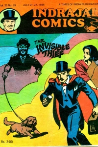 The Invisible Thief