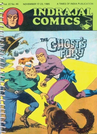 Cover of The Ghost's Fury