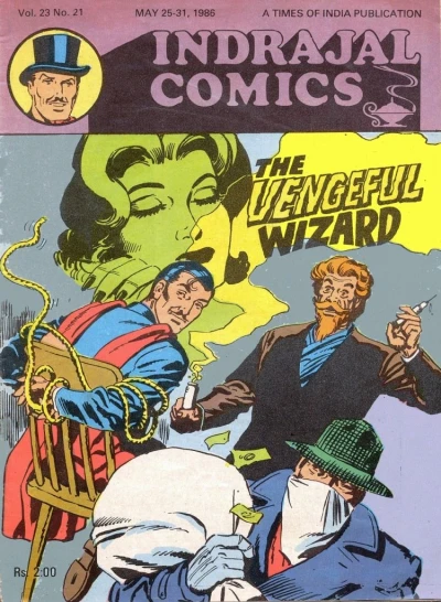 Cover of The Vengeful Wizard