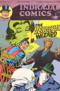 The Vengeful Wizard