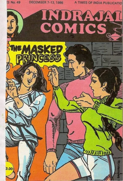 Cover of The Masked Princess