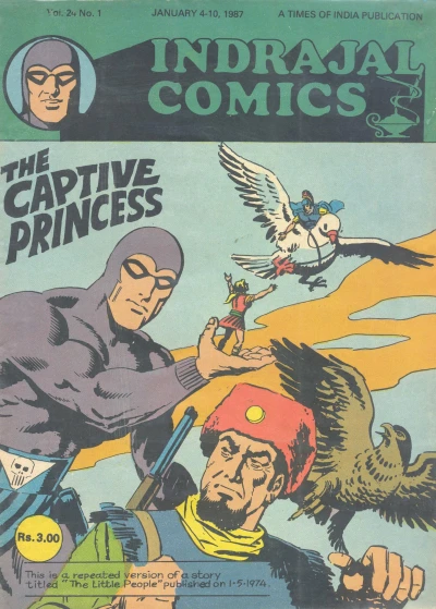 Cover of The Captive Princess