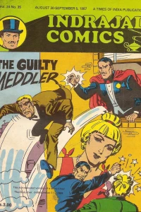 The Guilty Meddler