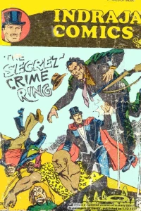 The Secret Crime Ring