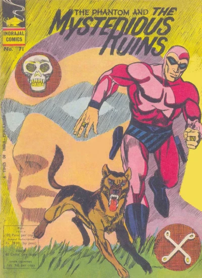 Cover of The Phantom And The Mysterious Ruins
