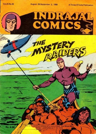 Cover of The Mystery Raiders