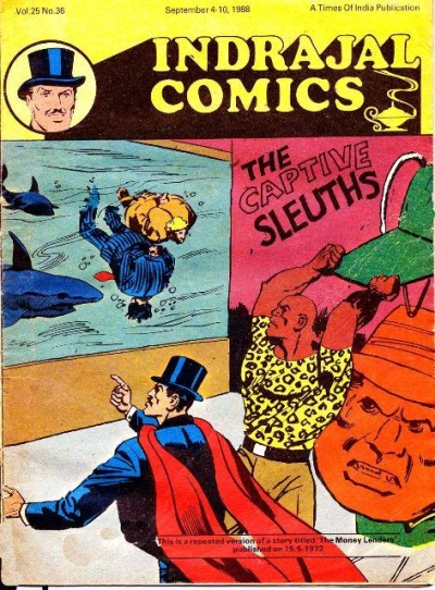 Cover of The Captive Sleuths