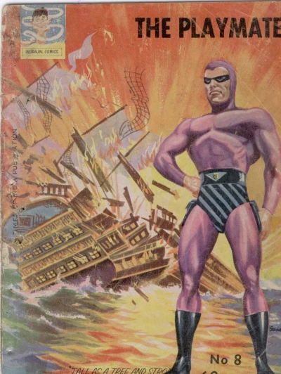 Cover of The Playmate