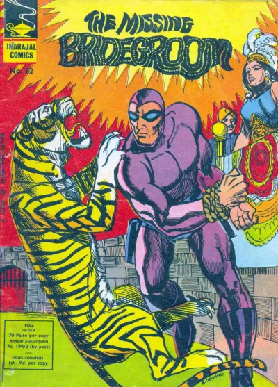 Cover of The Missing Bridegroom