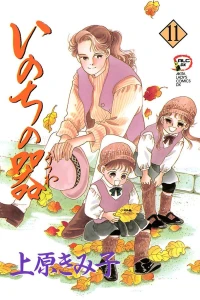 Vol. 11