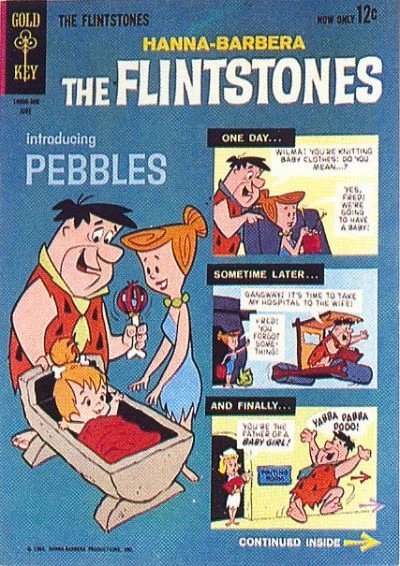 Cover of Introducing Pebbles