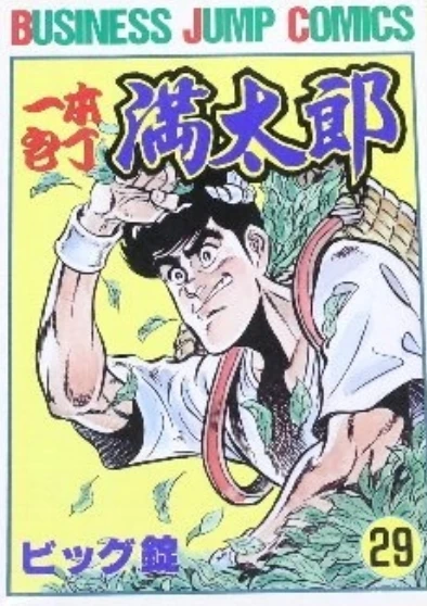 Cover of Vol. 29