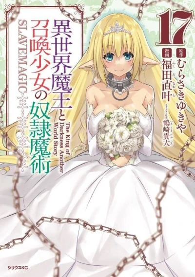 Cover of Vol. 17