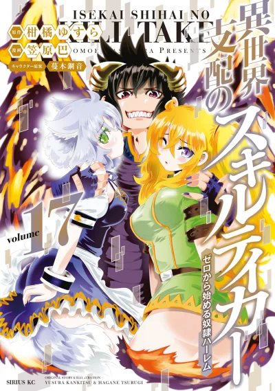 Cover of Volume 17