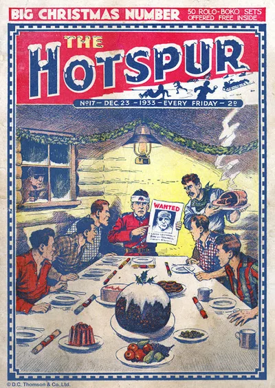 Cover of Issue #17