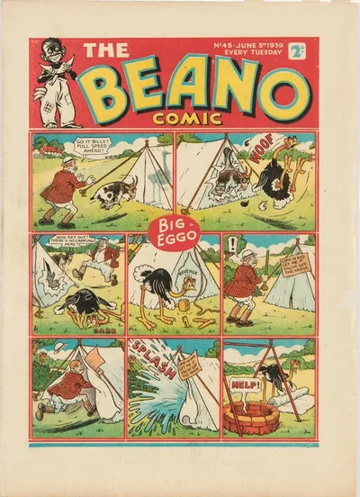 Cover of Issue #45