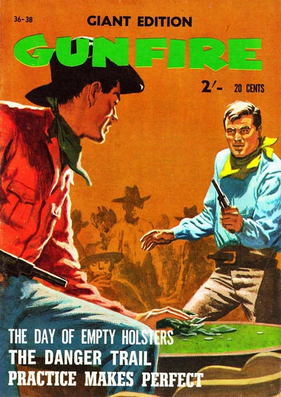Cover of Issue #36-38