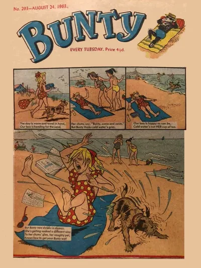 Cover of Issue #293