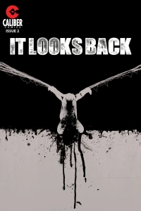 Issue #2