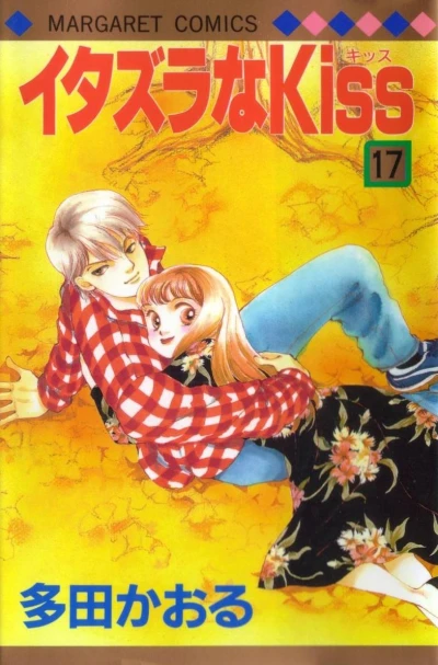 Cover of Volume #17