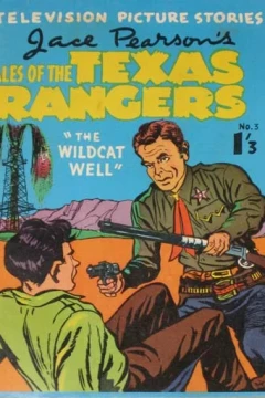 The Wildcat Well