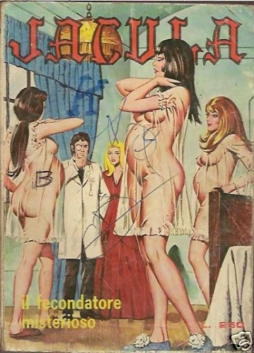 Cover of Il Fecondatore Misterioso