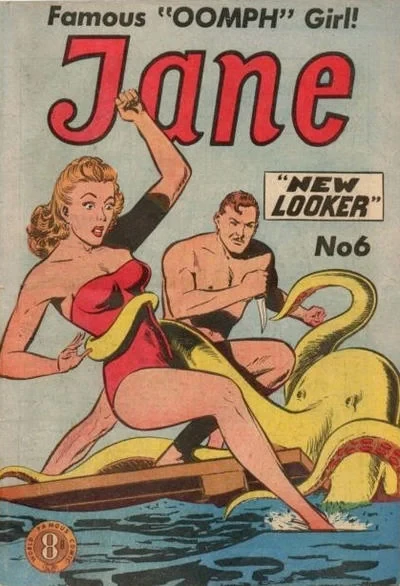 Cover of New Looker