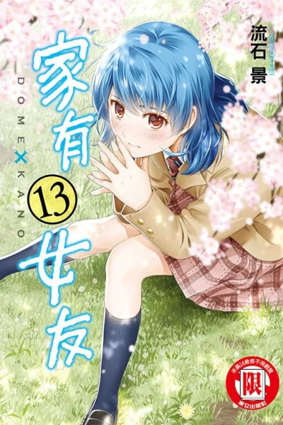 Cover of Vol. 13