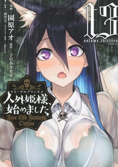 Cover of volume.thirteen