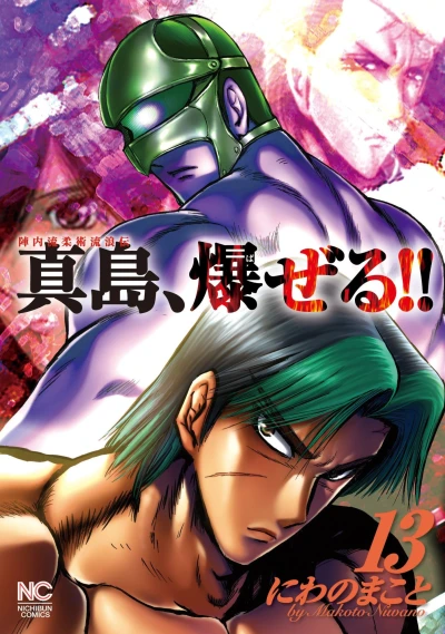 Cover of Vol. 13