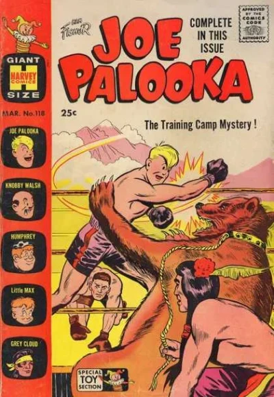 Cover of The Training Camp Mystery