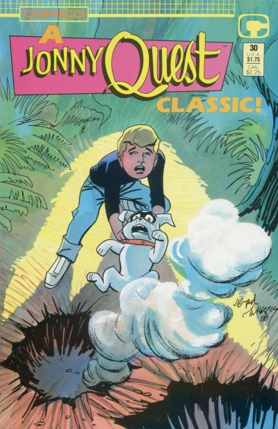 Cover of Issue #30