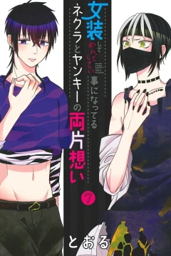 Volume 7