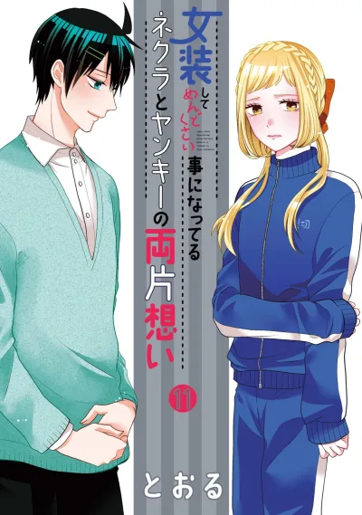 Cover of Volume 11