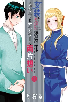 Volume 11