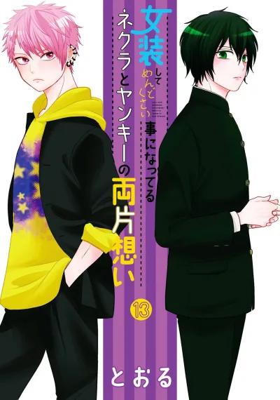 Cover of Volume 13