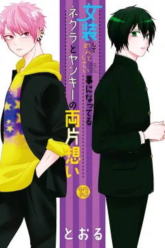 Volume 13