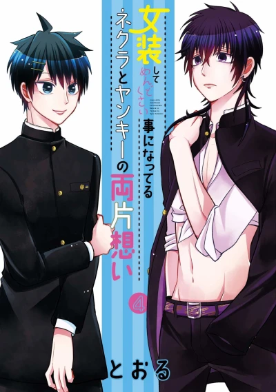 Cover of Volume 4