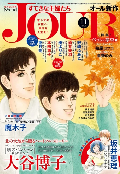 Cover of No. 11, 2018