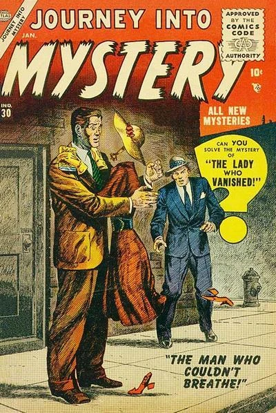 Cover of The Lady Who Vanished!
